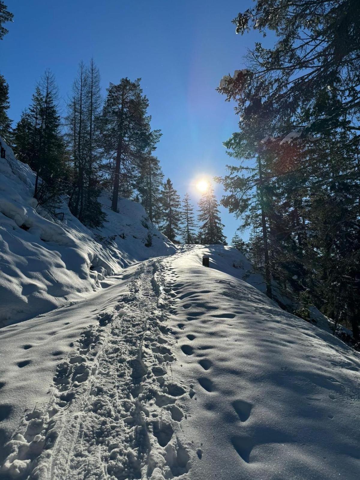 Alpenlandhaus Menardi Seefeld in Tirol Eksteriør billede